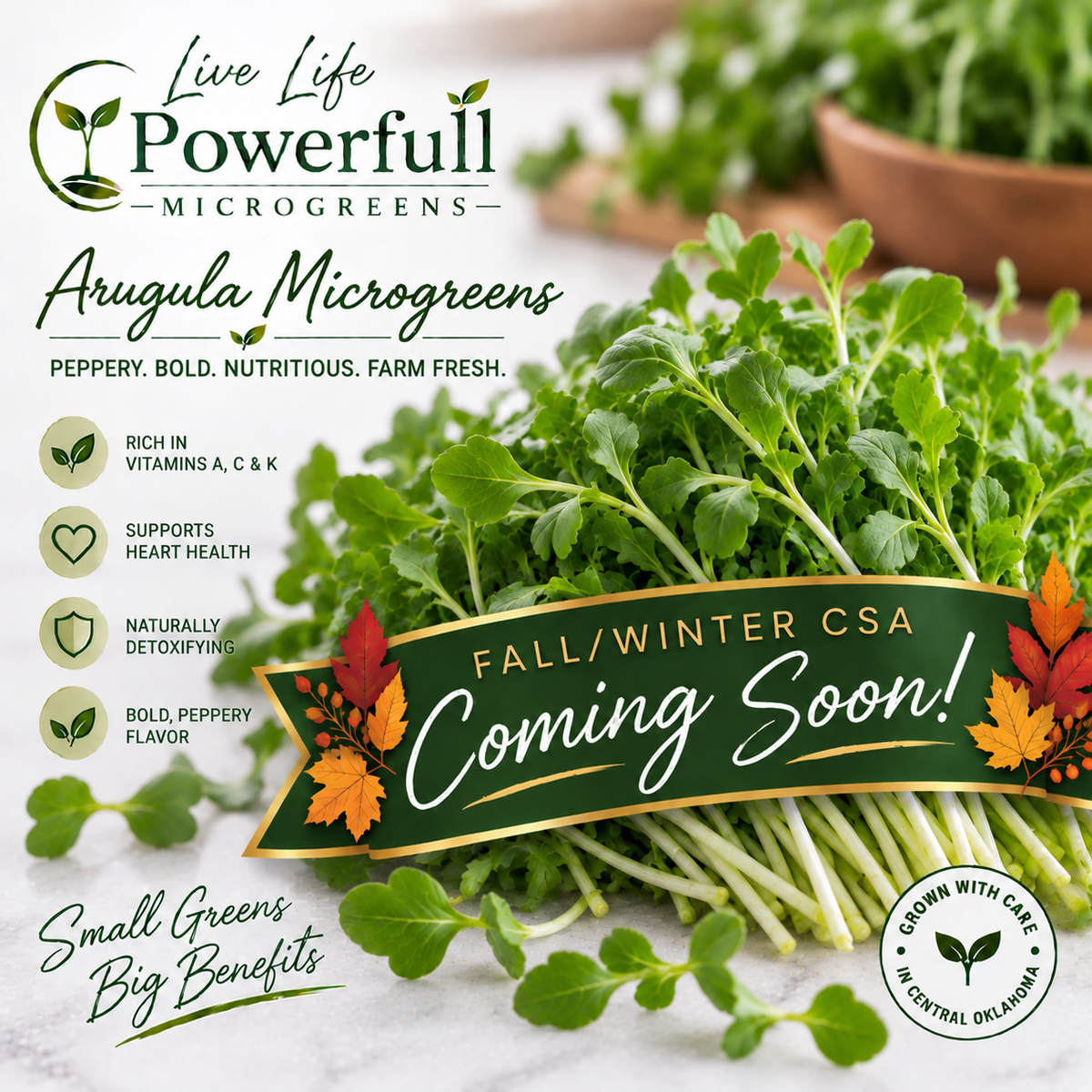 Arugula Microgreens