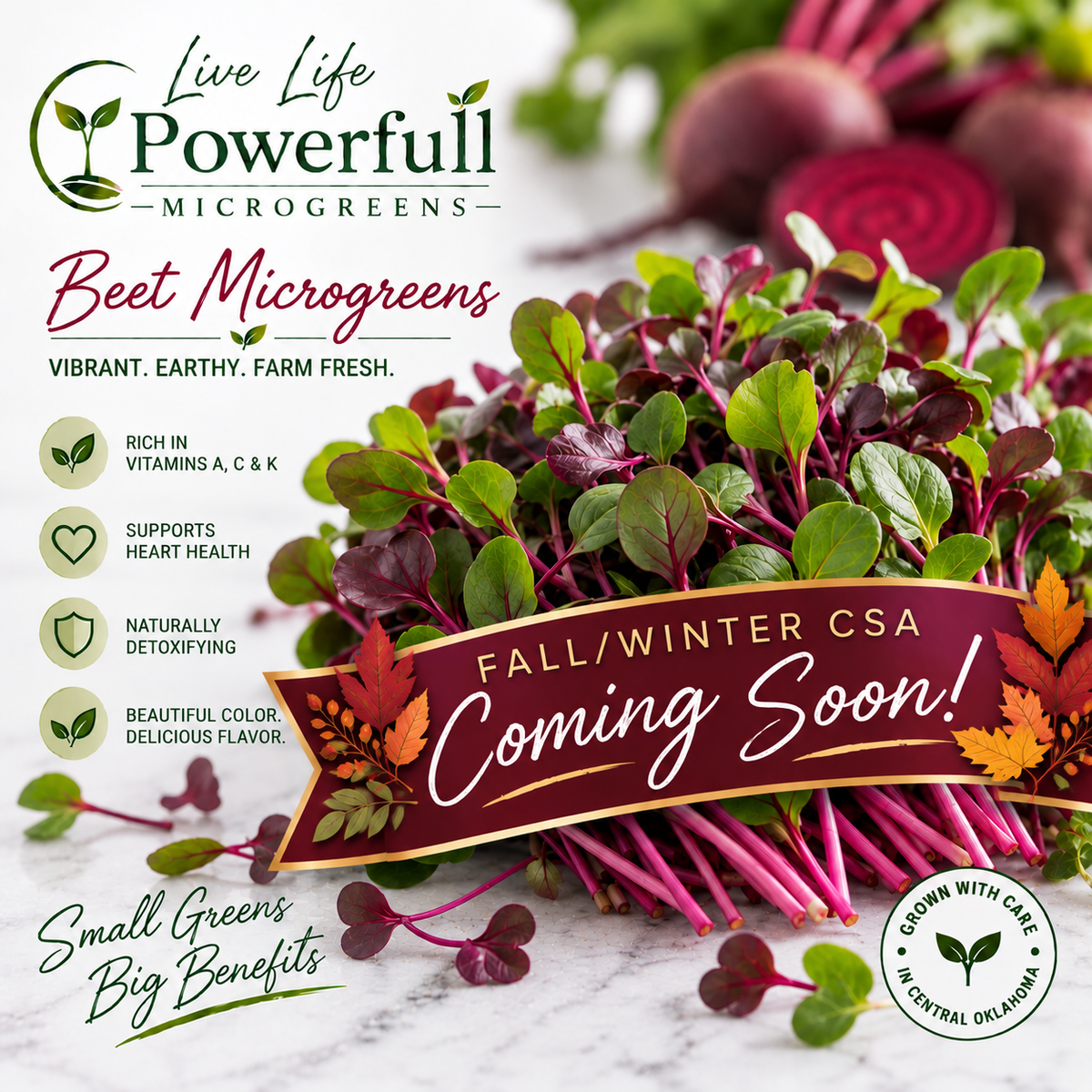 Beet Microgreens