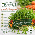 Carrot Microgreens