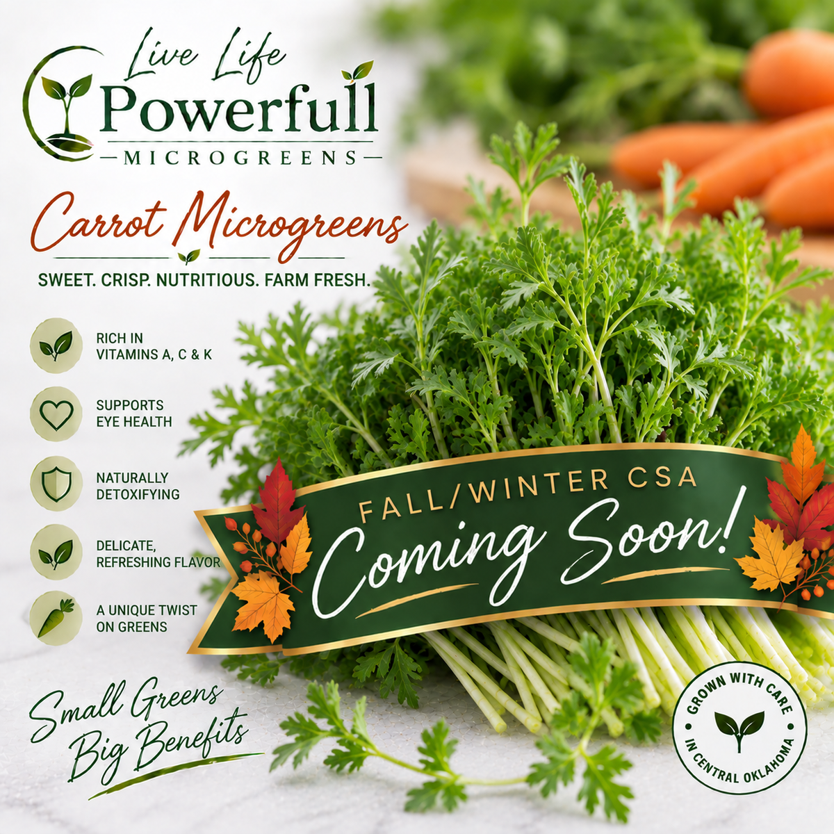 Carrot Microgreens