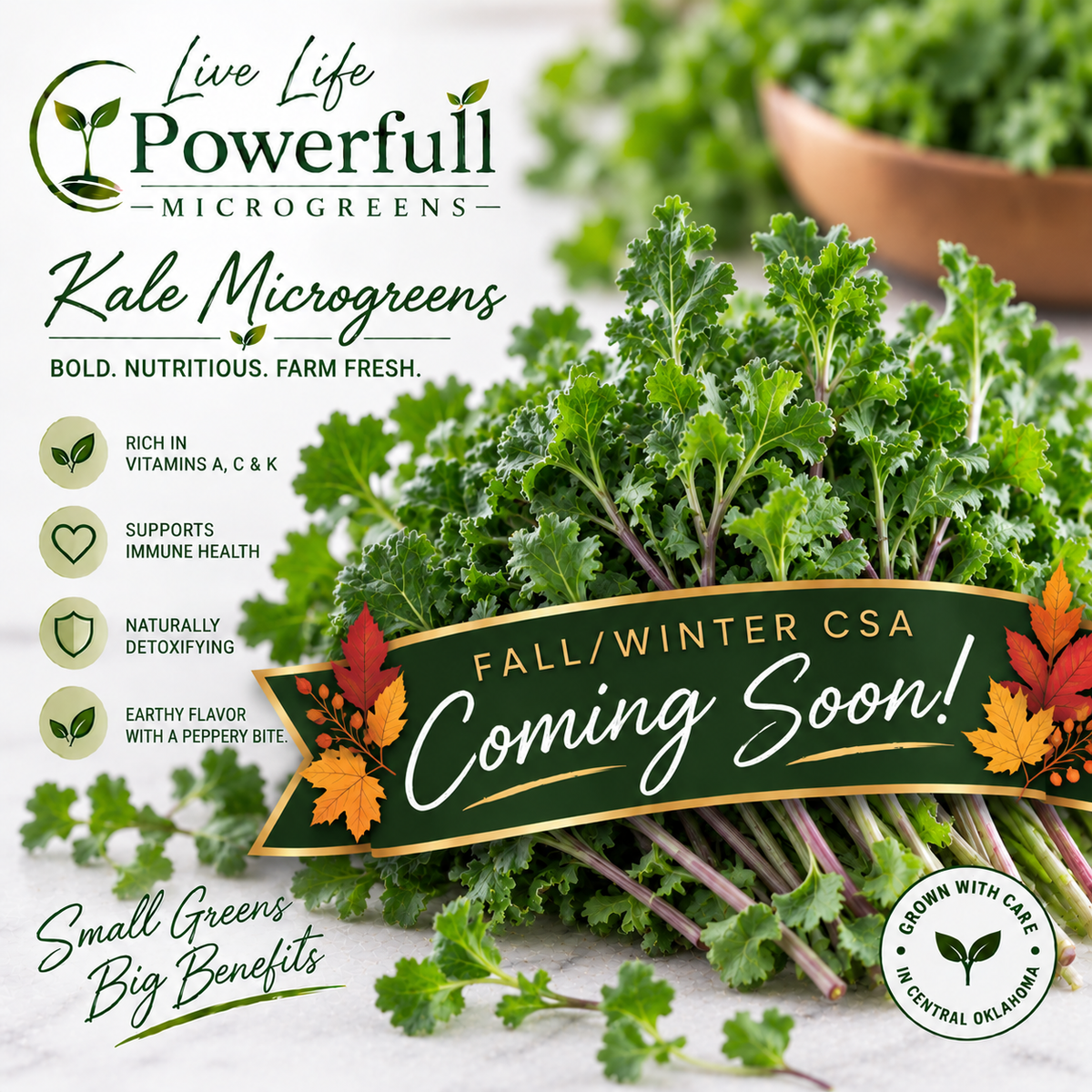 Kale Microgreens